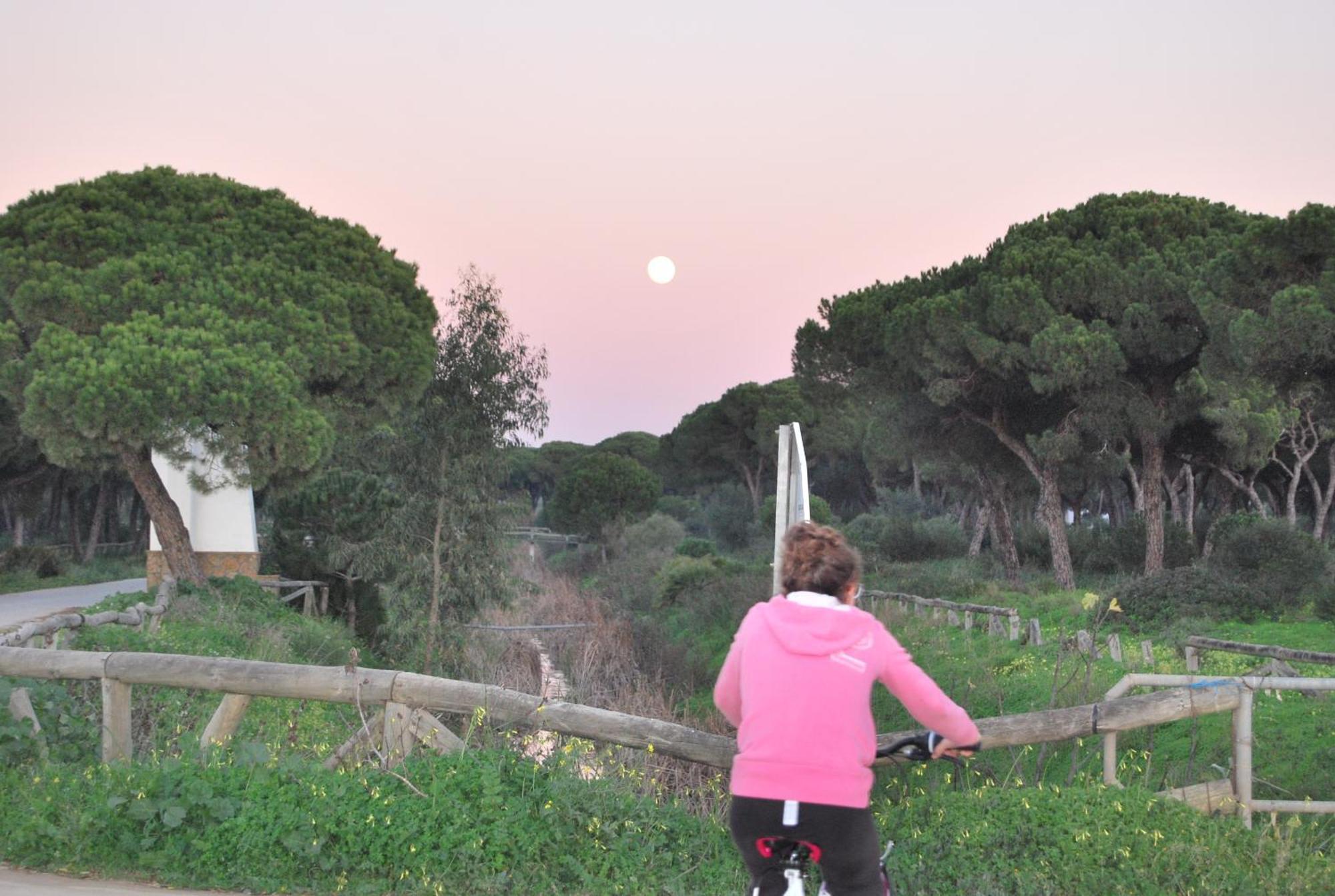 Tranvia Beach House Chipiona Eksteriør bilde