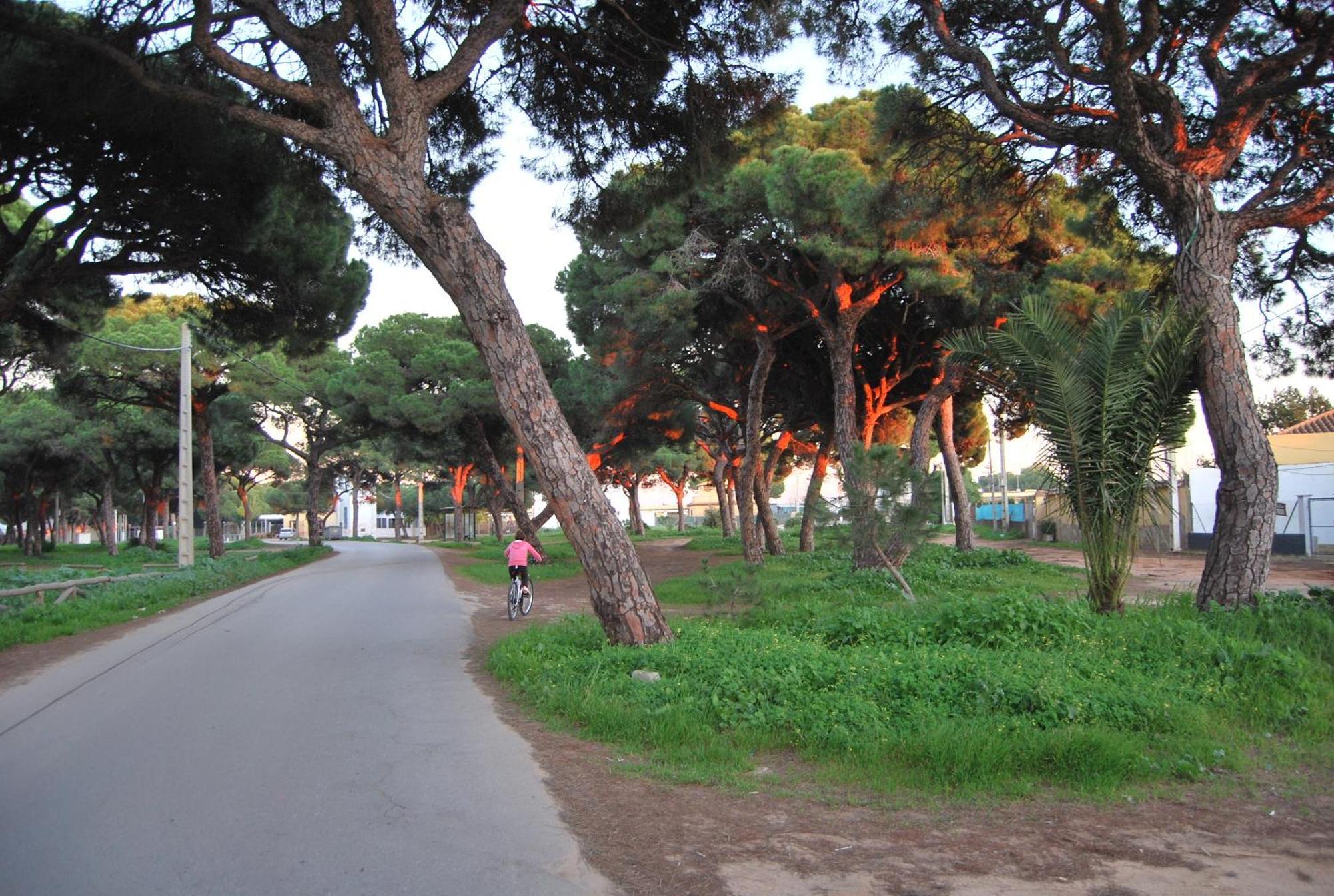 Tranvia Beach House Chipiona Eksteriør bilde